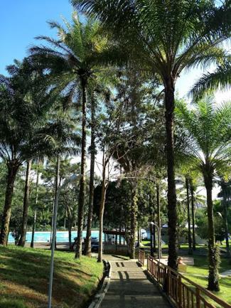 Sesi Resort Valenca (Bahia)